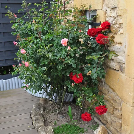 Le Clos Du Cher En Beaujolais Oda ve Kahvaltı 4*