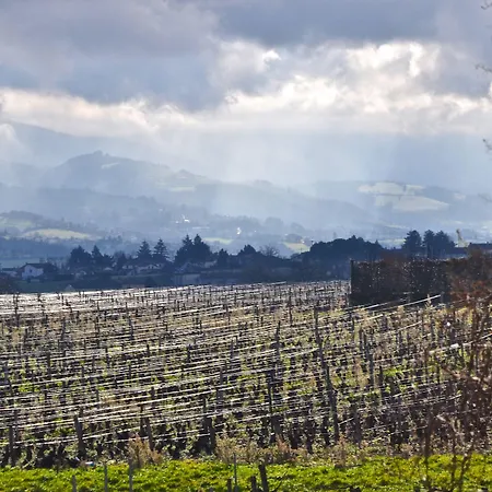 Le Clos Du Cher En Beaujolais Oda ve Kahvaltı