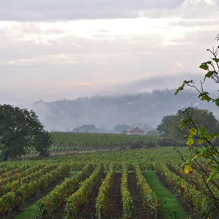 Le Clos Du Cher En Beaujolais Bed & Breakfast