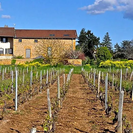 Le Clos Du Cher En Beaujolais 4*