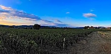 Le Clos Du Cher En Beaujolais