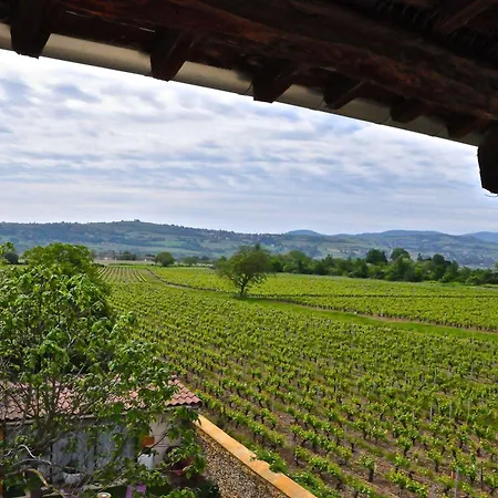 Le Clos Du Cher En Beaujolais Bed & Breakfast