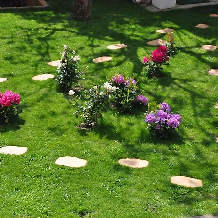 Le Clos Du Cher En Beaujolais Bed & Breakfast